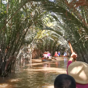 越南旅游胡志明美托湄公河一日游中英文导游可独立团当地玩乐二次确认